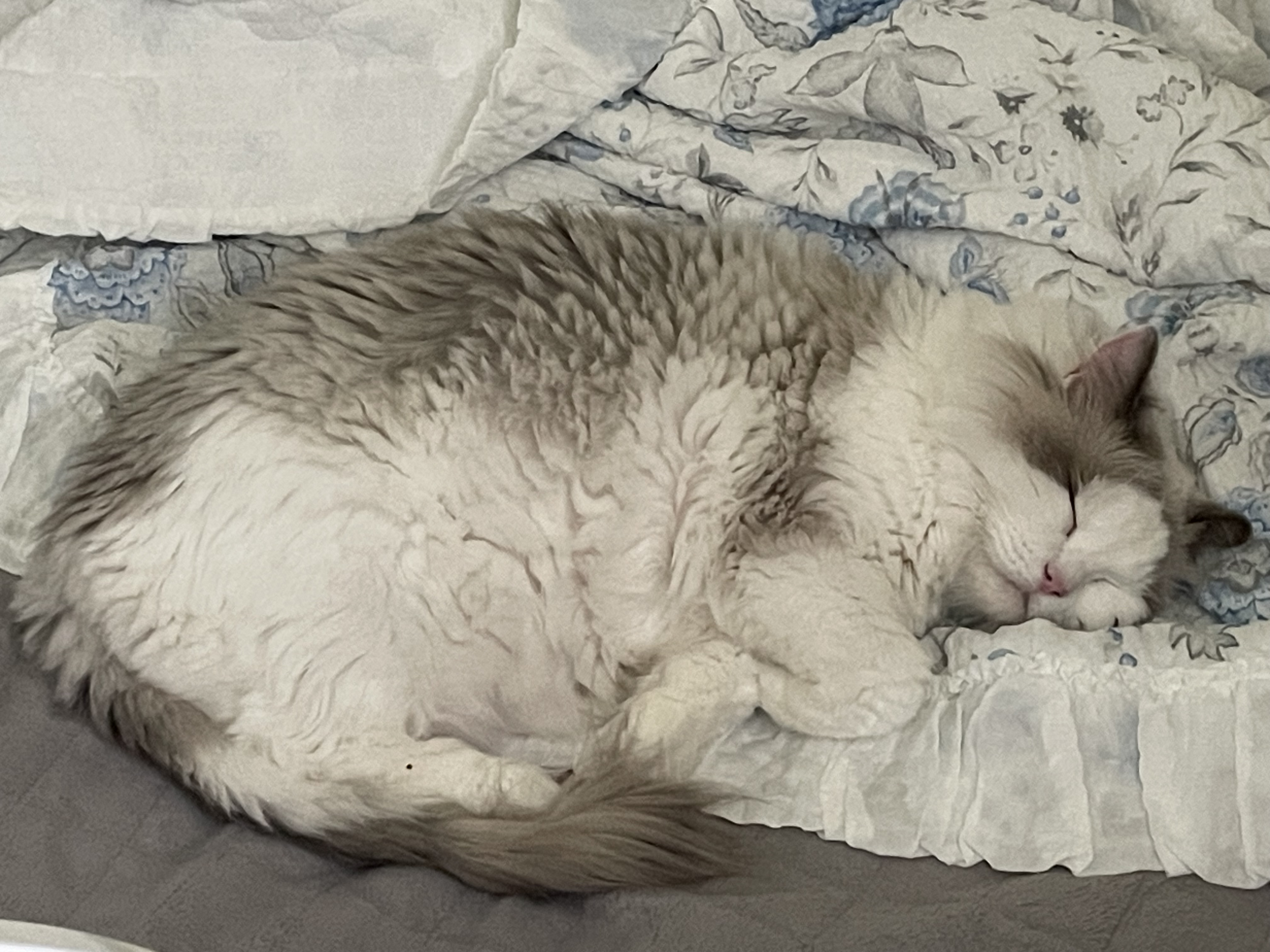 Devoong 프로필 이미지